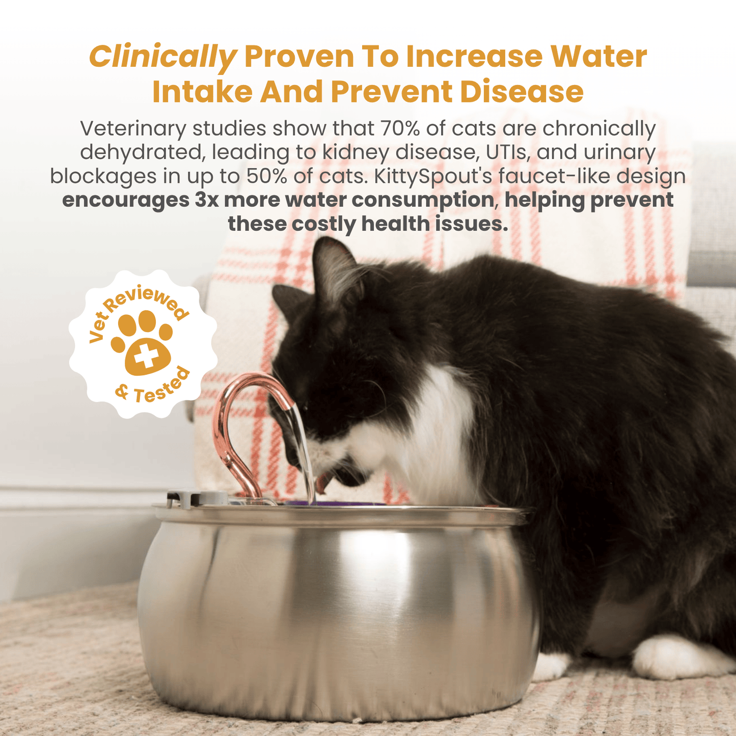 The Happy Tails – 50% OFF END SUMMER SALE + 4 FREE GIFTS (WORTH $142)