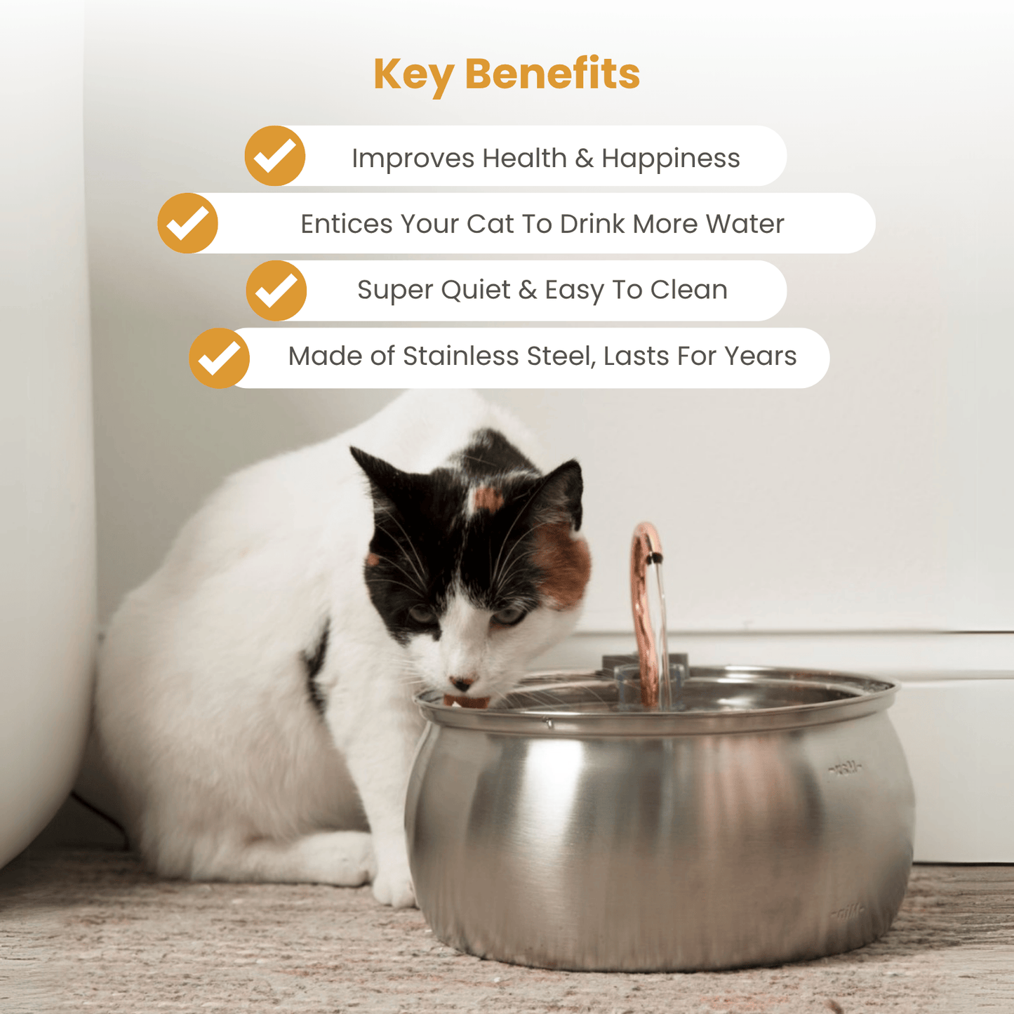 The Happy Tails – 50% OFF END SUMMER SALE + 4 FREE GIFTS (WORTH $142)