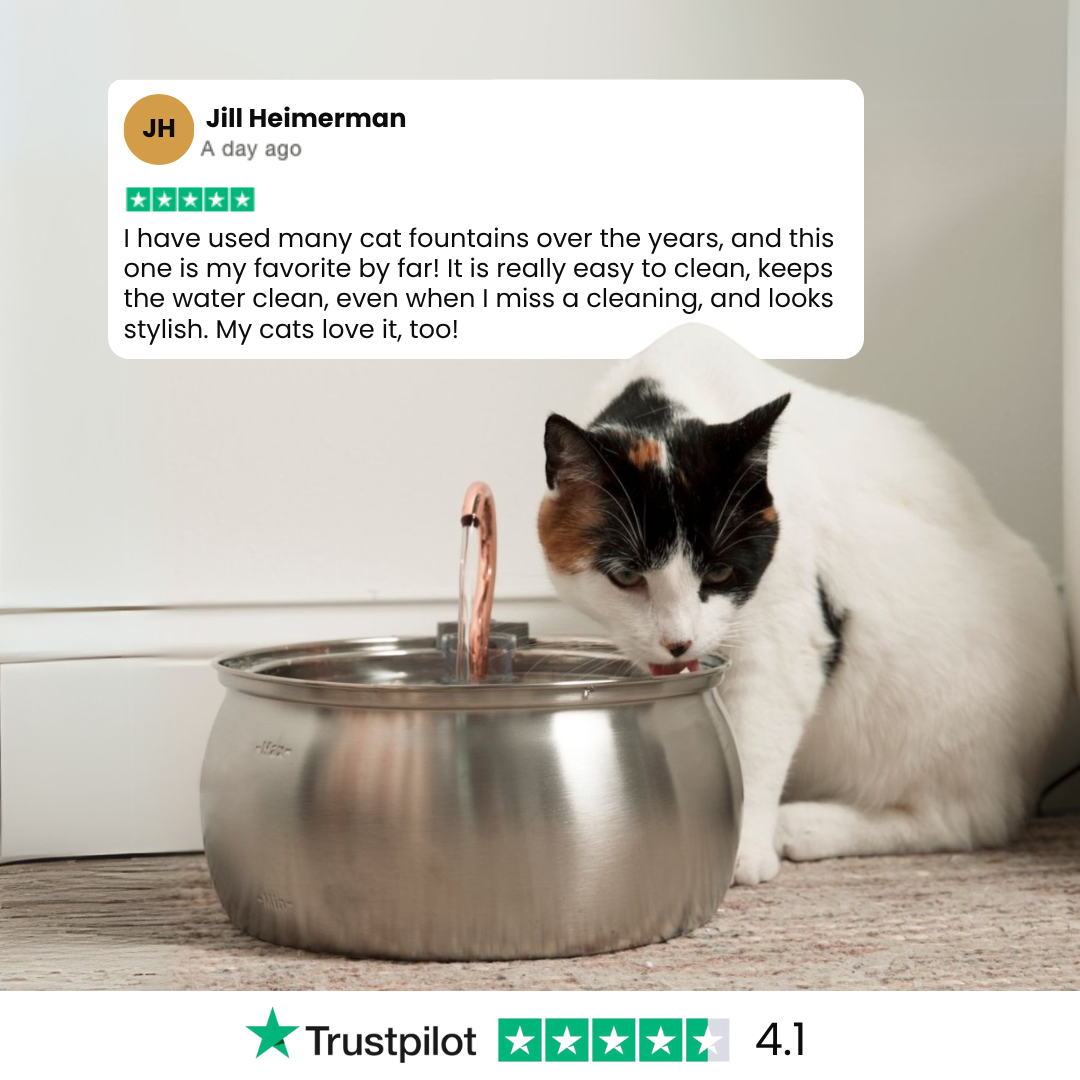 The Happy Tails – 50% OFF END SUMMER SALE + 4 FREE GIFTS (WORTH $142)