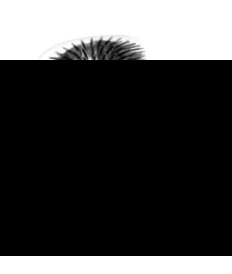 🔥🔥Cat Self Grooming Massage Toy Brush🌙