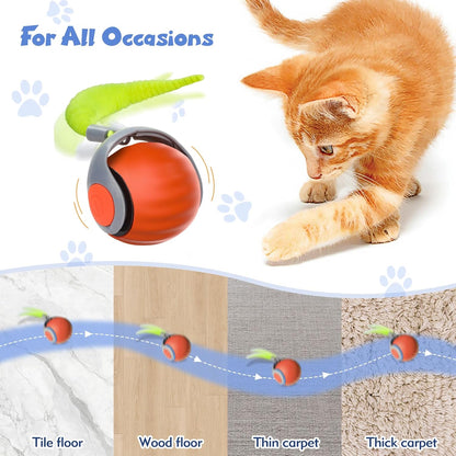 HappyTails™ Interactive Cat Toys
