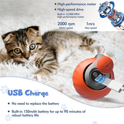 HappyTails™ Interactive Cat Toys