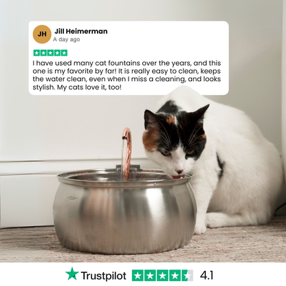 The Happy Tails – 50% OFF END SUMMER SALE + 4 FREE GIFTS (WORTH $142)
