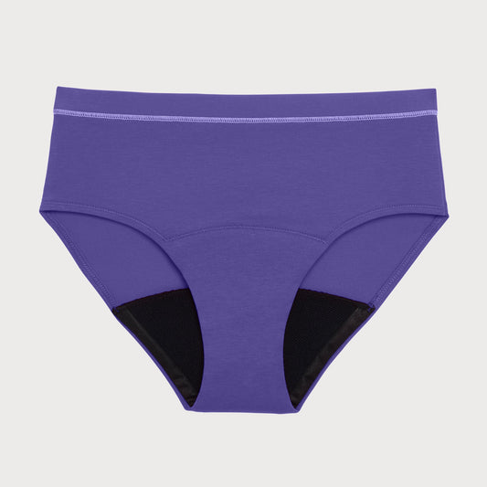 All-Day Brief
